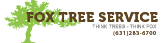 Fox Tree Service